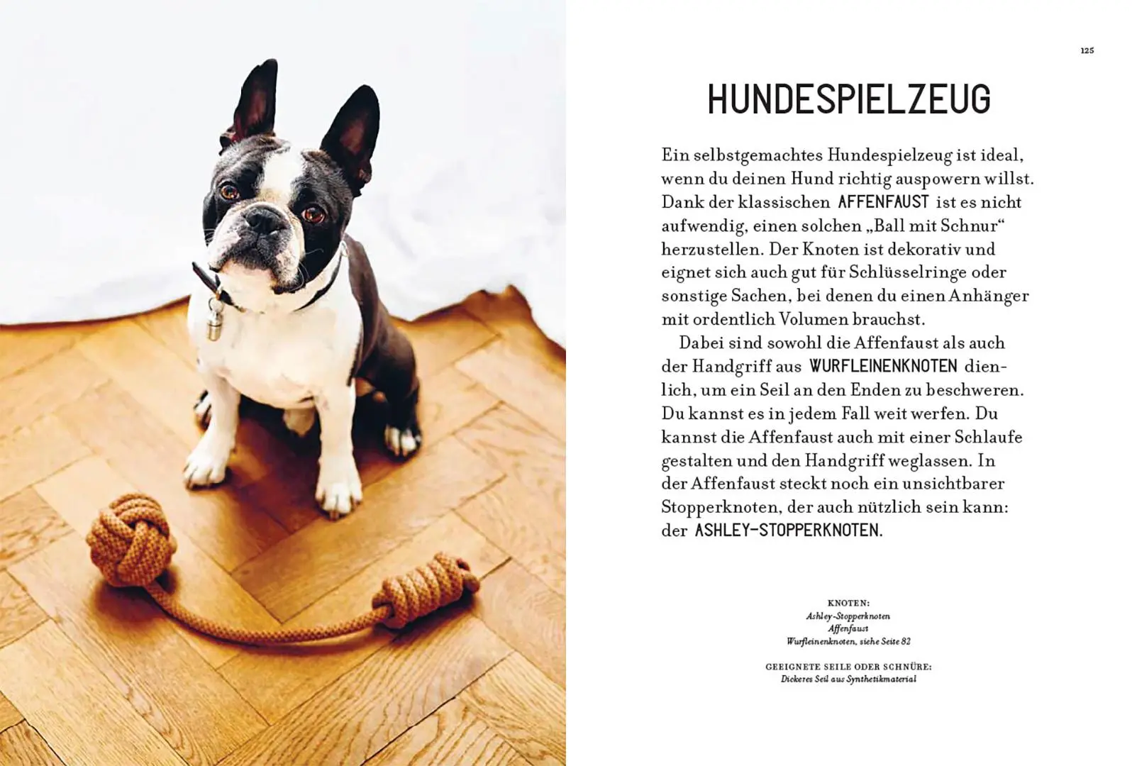 Bild: 9783258602929 | Knoten | für Wohnung, Hobby und Alltag | Miki Anagrius | Taschenbuch