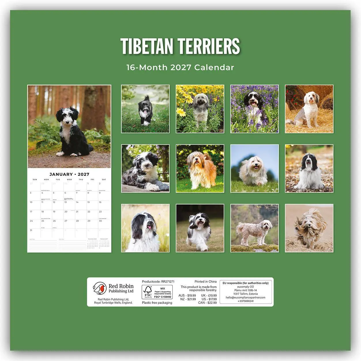 Rückseite: 9781837013029 | Tibetan Terriers - Tibet Terrier 2027 - 16-Monatskalender | Robin Red
