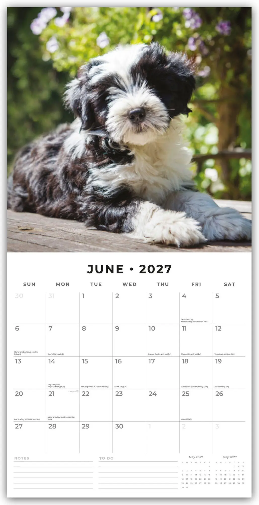 Bild: 9781837013029 | Tibetan Terriers - Tibet Terrier 2027 - 16-Monatskalender | Robin Red