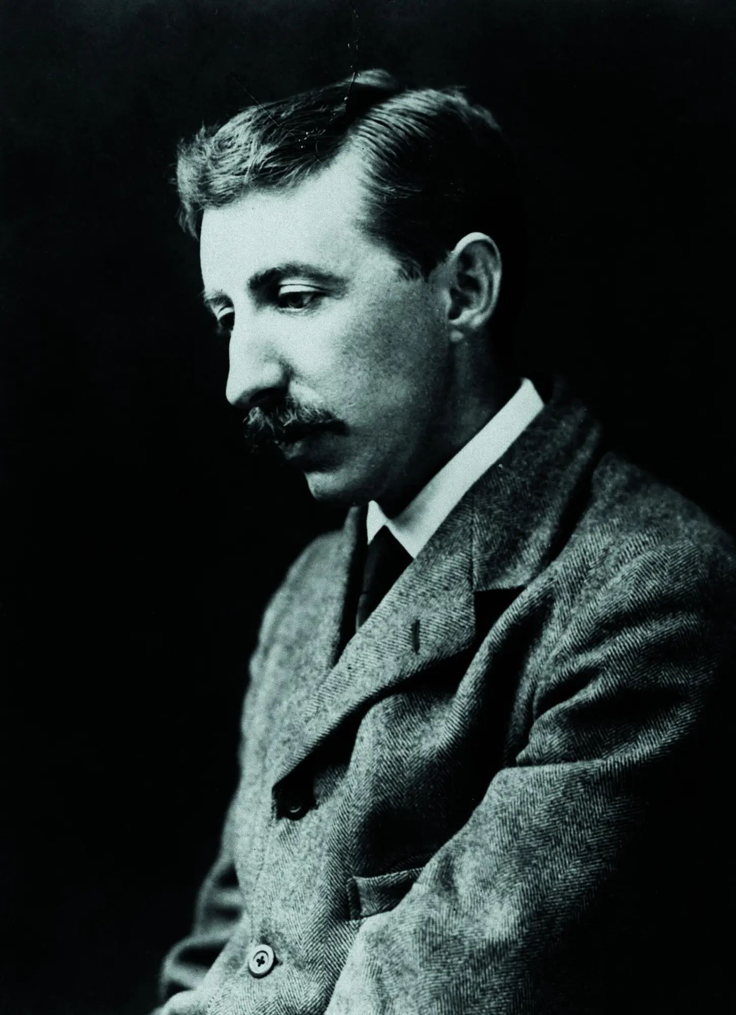 Autor: 9783312013029 | Brauchen wir Kultur? | Essays Deutsche Erstveröffentlichung | Forster