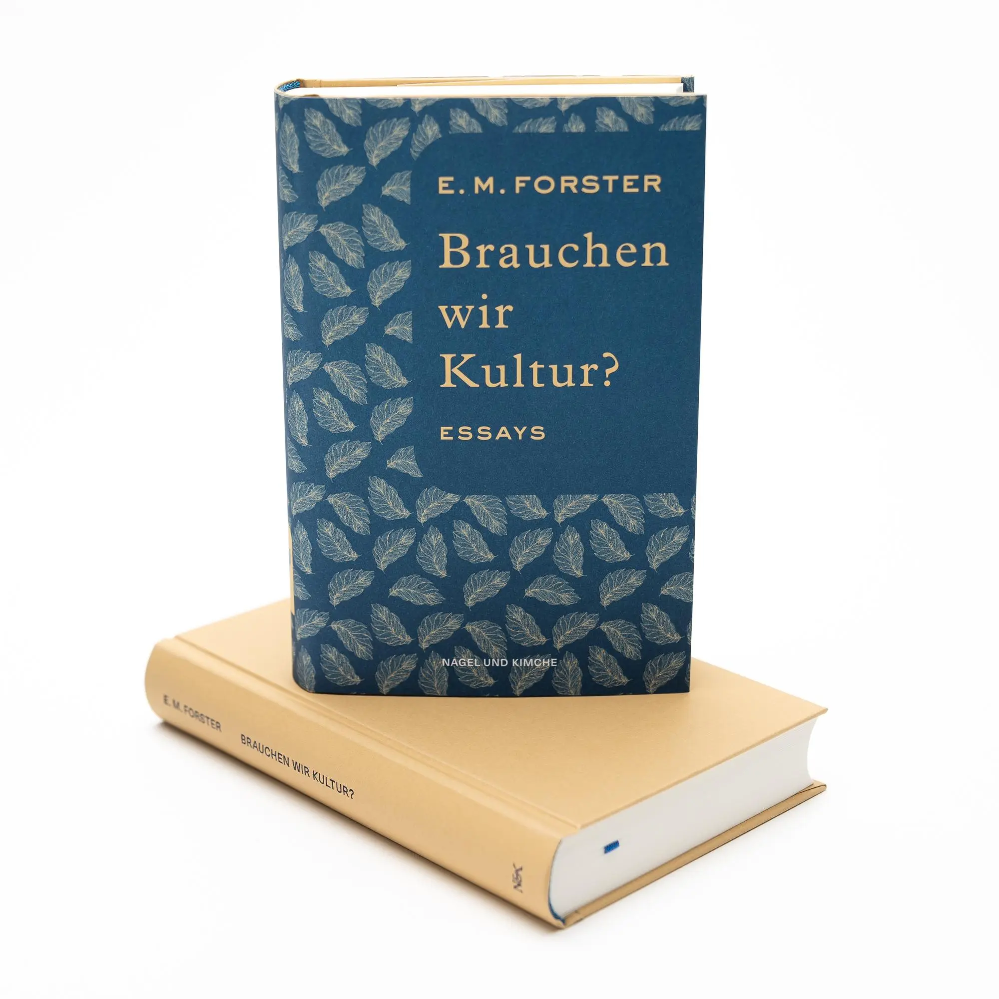 Bild: 9783312013029 | Brauchen wir Kultur? | Essays Deutsche Erstveröffentlichung | Forster