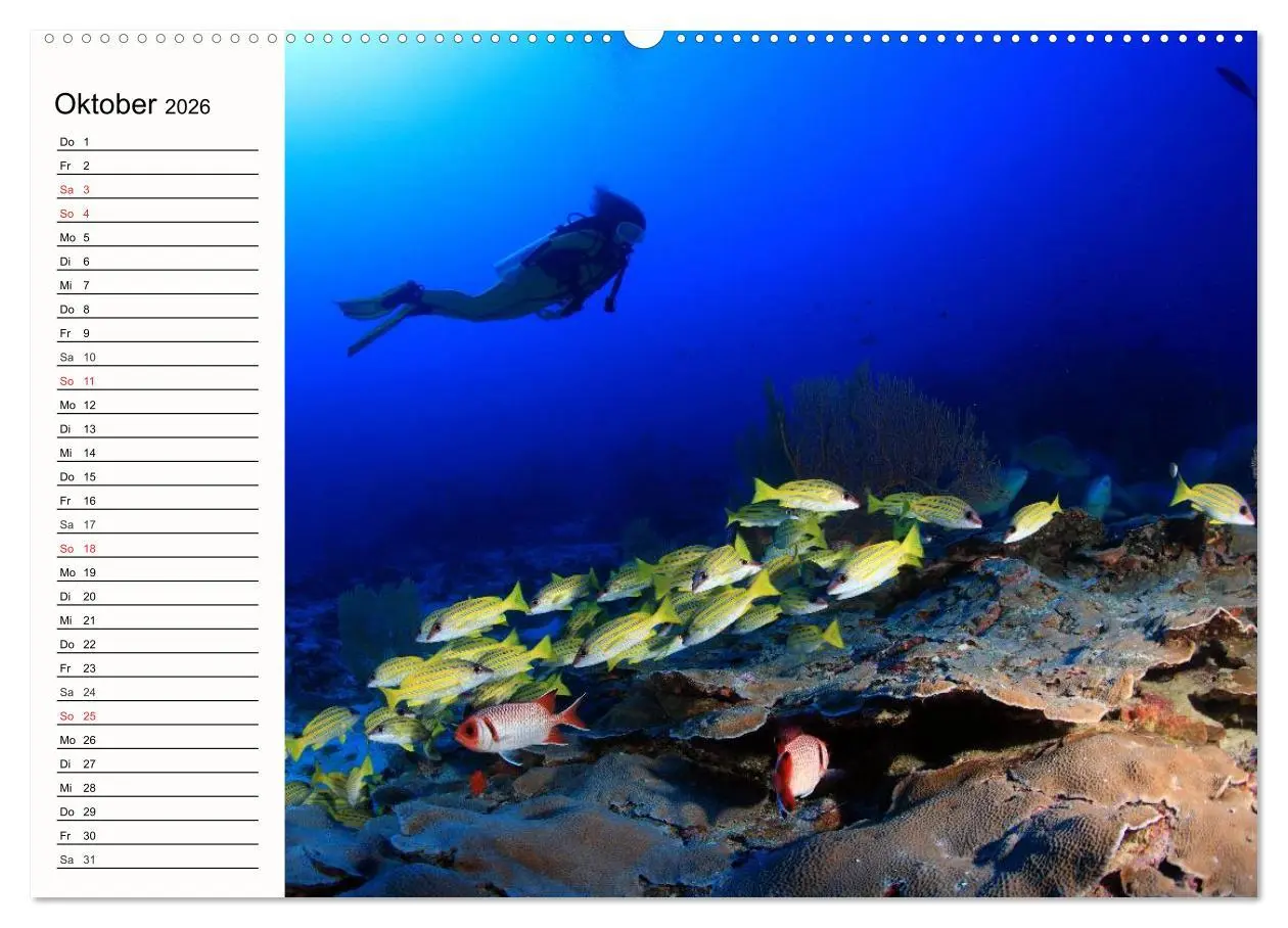 Bild: 9783457963029 | Paradiese. Karibik und Südsee über und unter Wasser (Wandkalender...