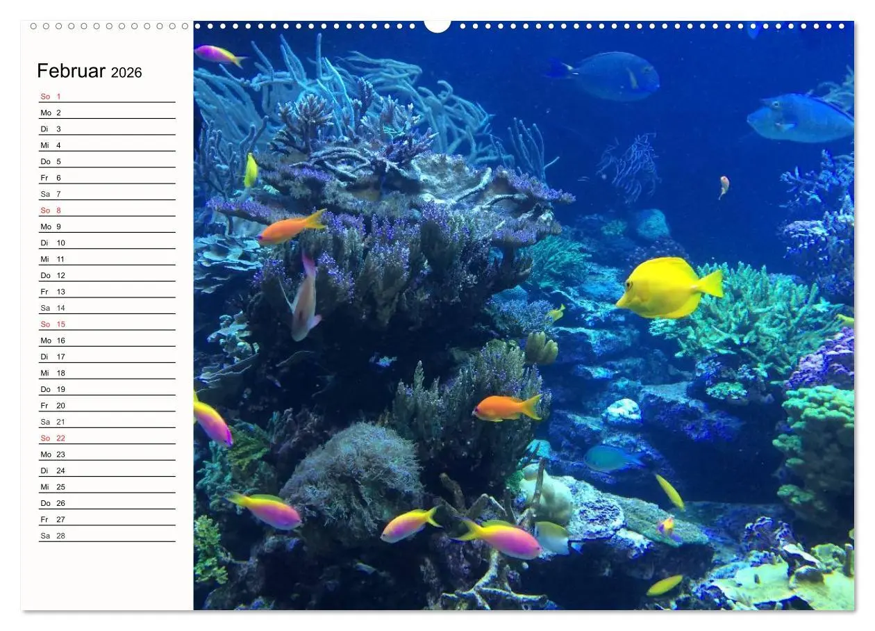 Bild: 9783457963029 | Paradiese. Karibik und Südsee über und unter Wasser (Wandkalender...