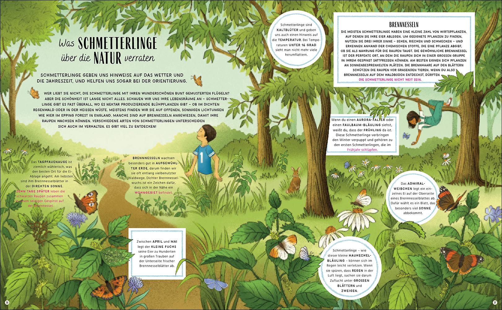 Bild: 9783458643029 | Die verborgenen Zeichen der Natur | Craig Caudill | Buch | 64 S.