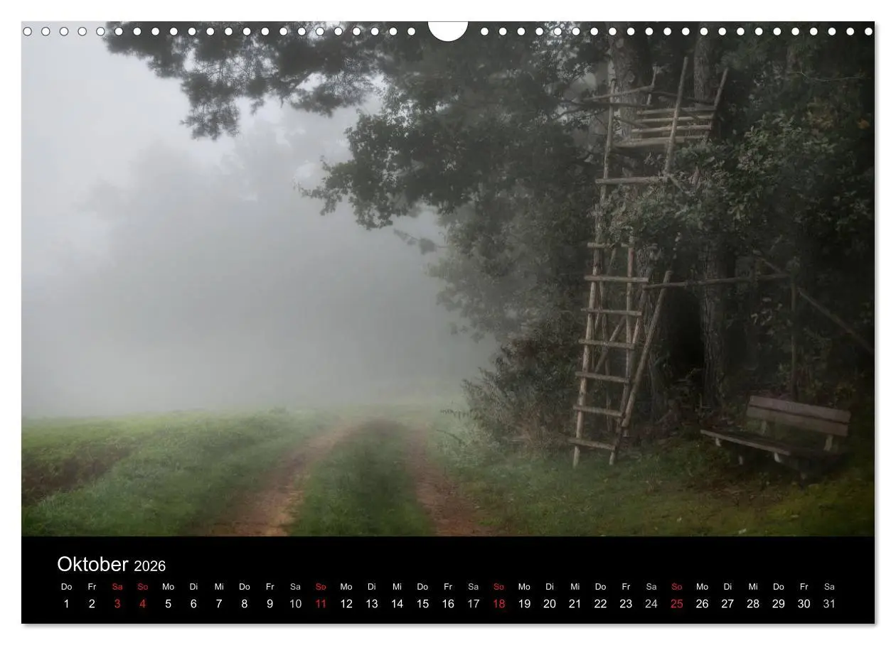 Bild: 9783516123029 | Kanzelkalender 2026 (Wandkalender 2026 DIN A3 quer), CALVENDO...