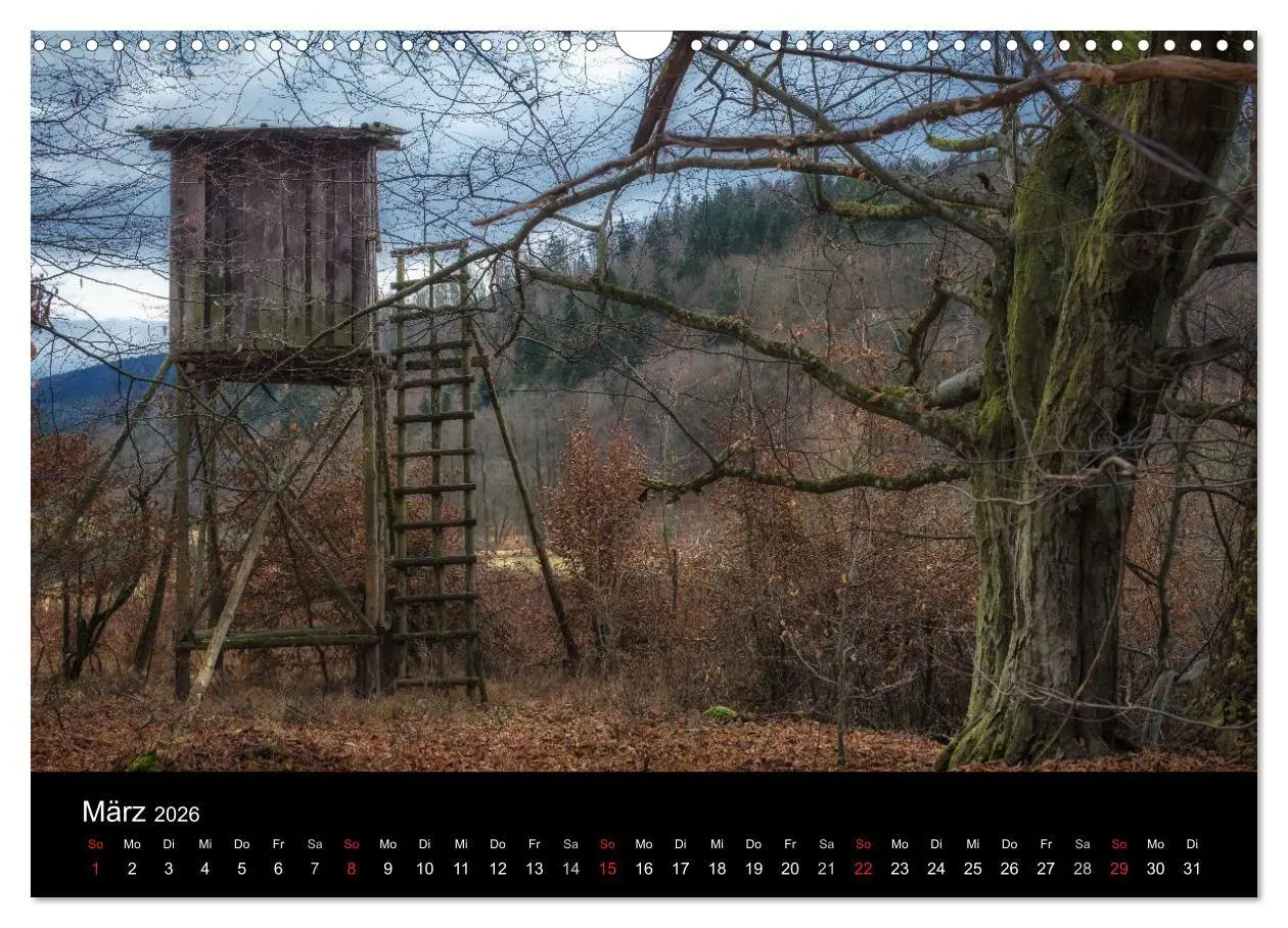 Bild: 9783516123029 | Kanzelkalender 2026 (Wandkalender 2026 DIN A3 quer), CALVENDO...