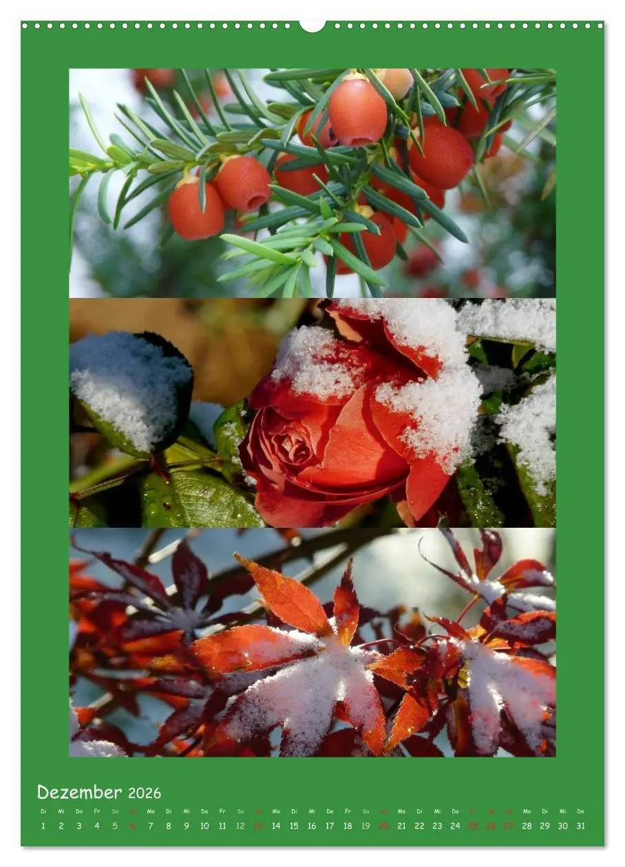 Bild: 9783516433029 | Natur im Farbenrausch (hochwertiger Premium Wandkalender 2026 DIN...