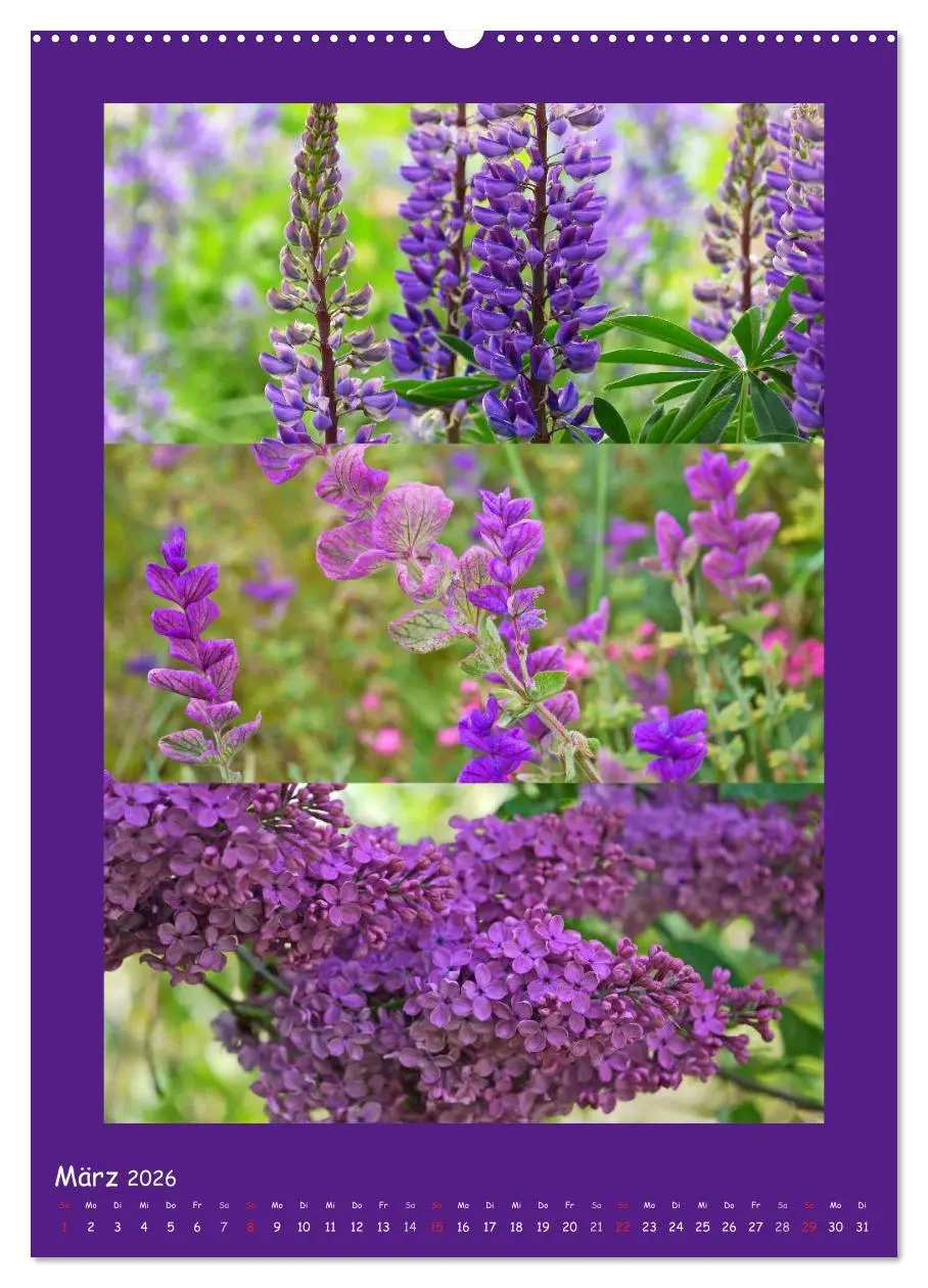 Bild: 9783516433029 | Natur im Farbenrausch (hochwertiger Premium Wandkalender 2026 DIN...