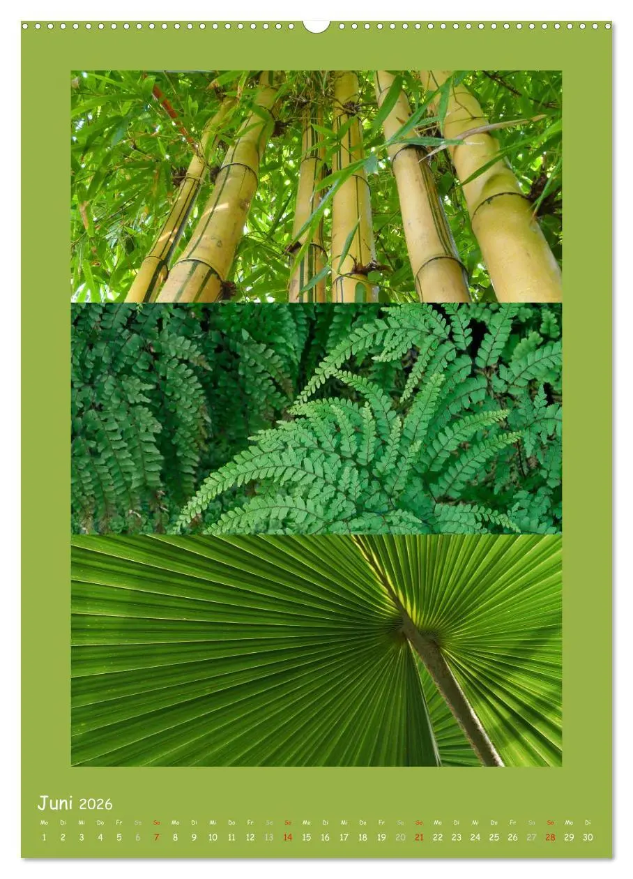 Bild: 9783516433029 | Natur im Farbenrausch (hochwertiger Premium Wandkalender 2026 DIN...