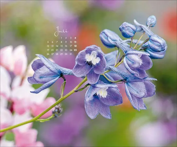 Bild: 9783819303029 | Floral Art 2027 | Verlag Korsch | Kalender | 14 S. | Deutsch | 2027