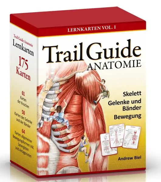 Cover: 9783868673029 | Trail Guide Anatomie | Lernkarten Vol. 1 | Andrew Biel | Loseblatt