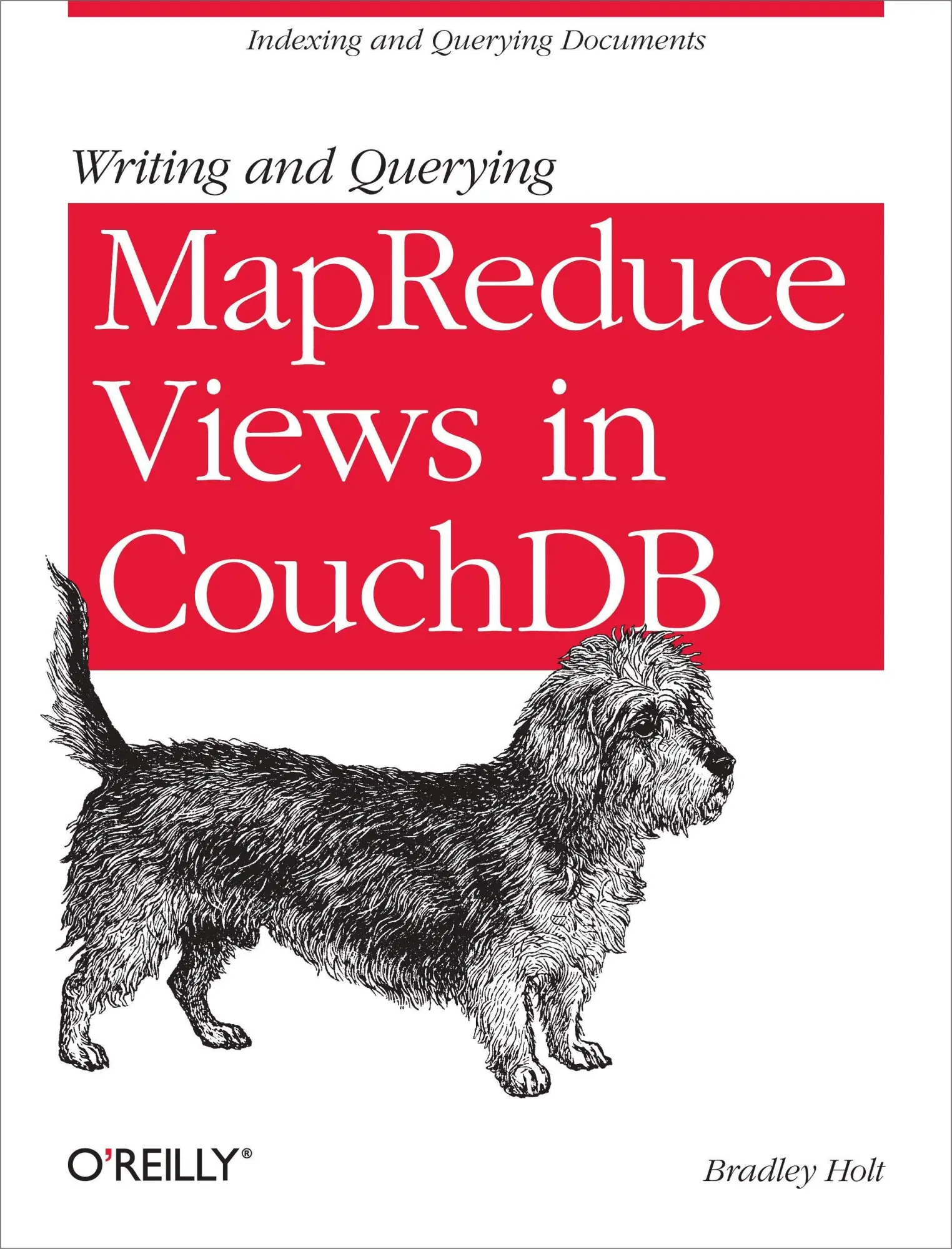 Cover: 9781449303129 | Writing and Querying Mapreduce Views in Couchdb | Bradley Holt | Buch