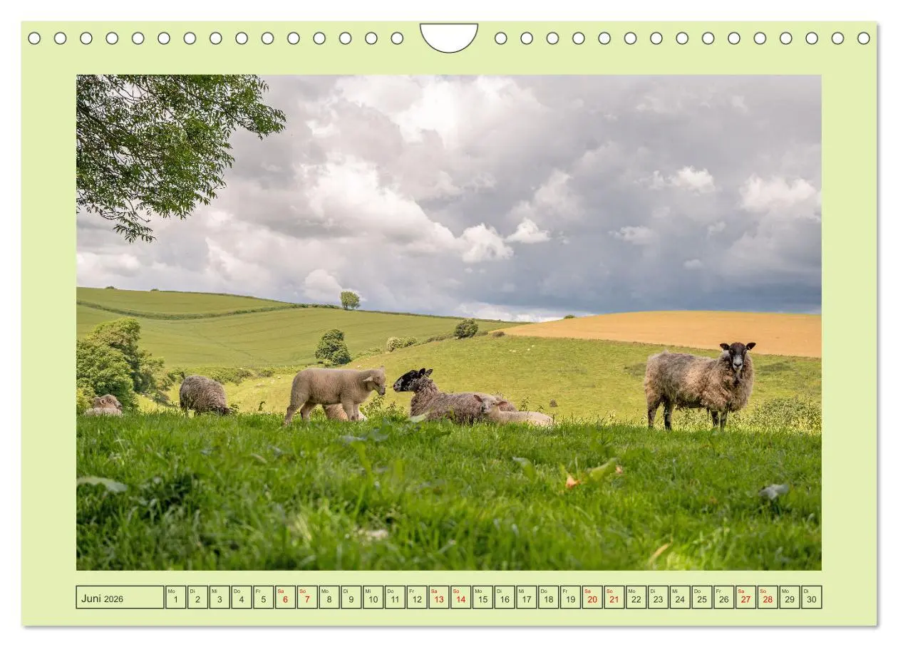 Bild: 9783457573129 | Südengland pur (Wandkalender 2026 DIN A4 quer), CALVENDO...
