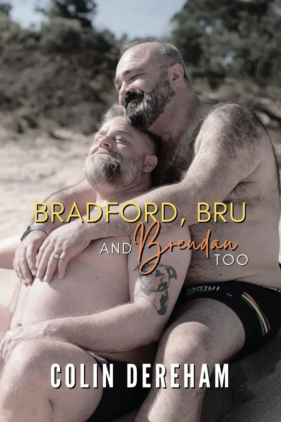 Cover: 9781959553229 | Bradford, Bru And Brendan Too | Special Edition | Colin Dereham | Buch