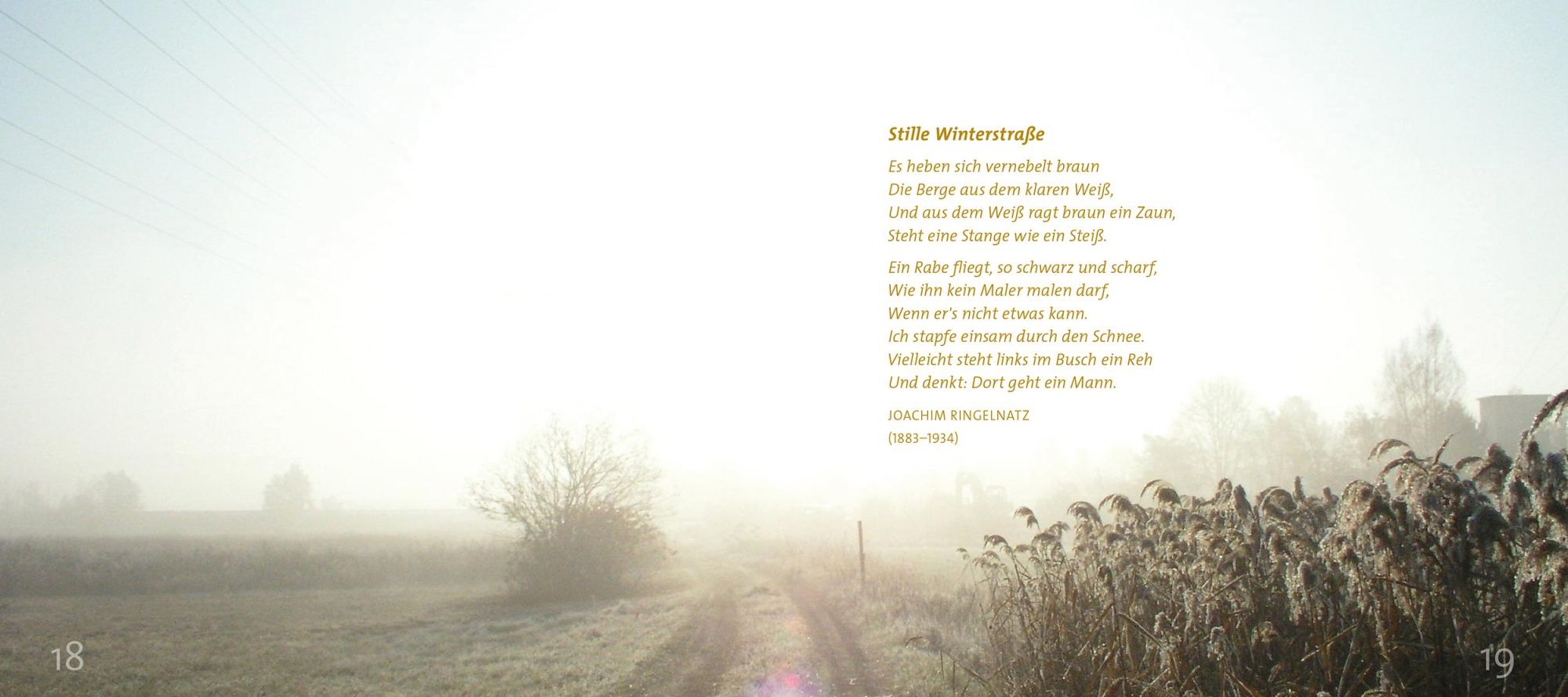 Bild: 9783438063229 | Wintersonne | Gedanken und Gebete voll Wärme und Licht | Brandl | Buch