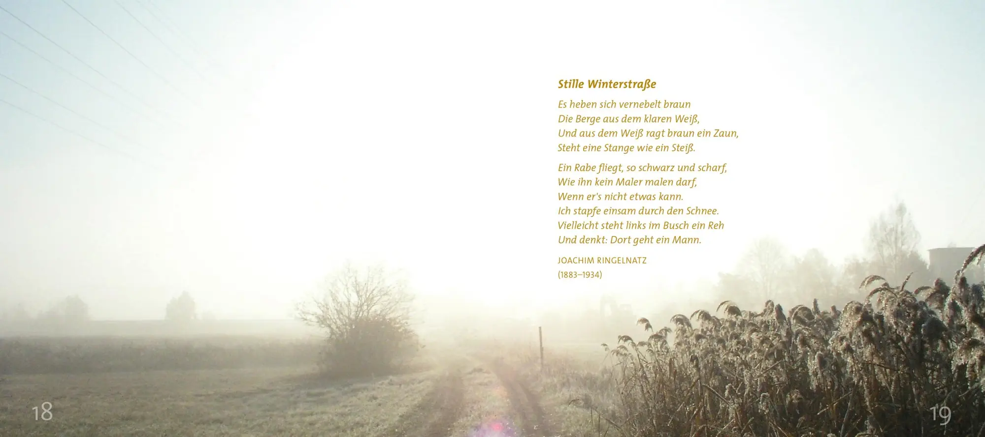 Bild: 9783438063229 | Wintersonne | Gedanken und Gebete voll Wärme und Licht | Brandl | Buch
