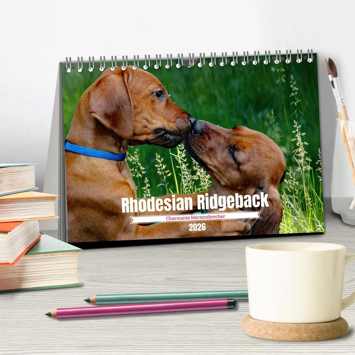 Bild: 9783457563229 | Rhodesian Ridgeback, Charmante Herzensbrecher (Tischkalender 2026...