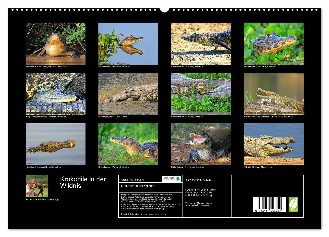 Bild: 9783457703229 | Krokodile in der Wildnis (hochwertiger Premium Wandkalender 2026...