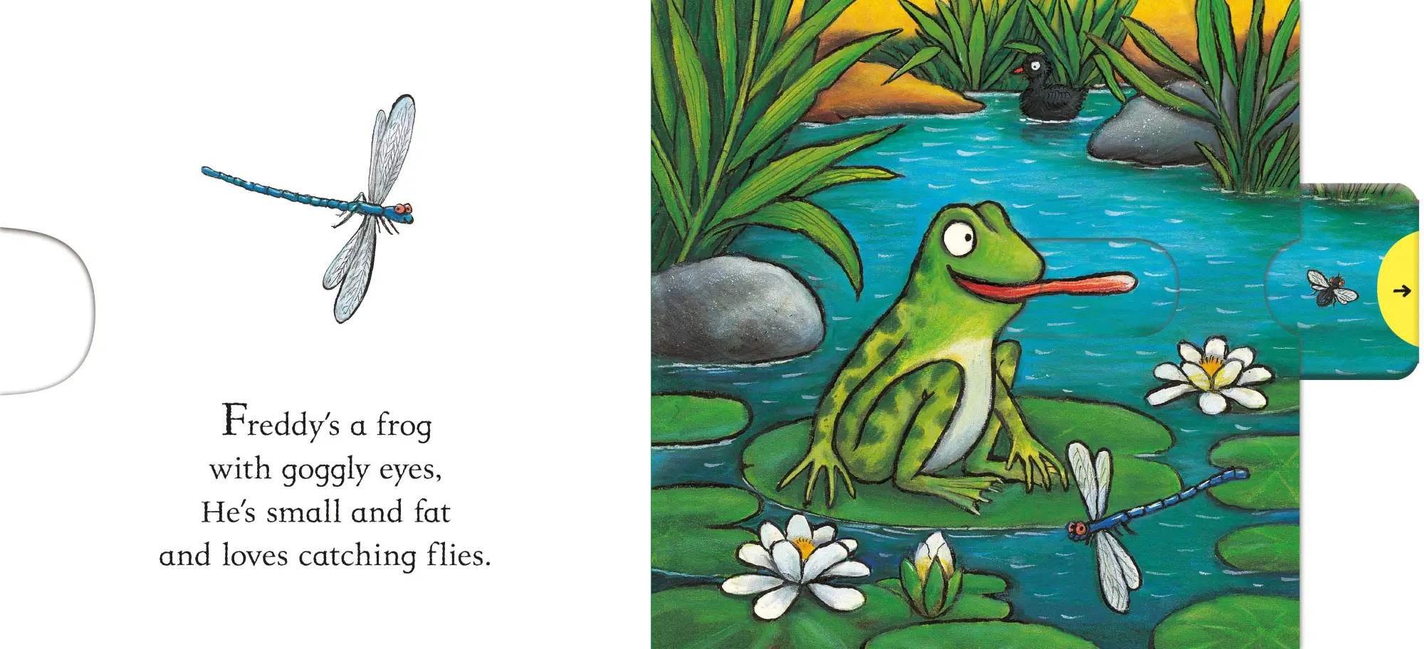 Bild: 9781529023329 | Freddy the Frog | A Push, Pull, Slide Book | Axel Scheffler | Buch
