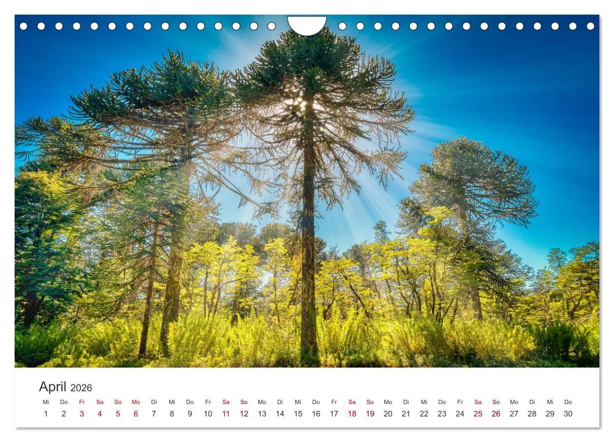 Bild: 9783457613429 | Chile - Das langgestreckte Land. (Wandkalender 2026 DIN A4 quer),...