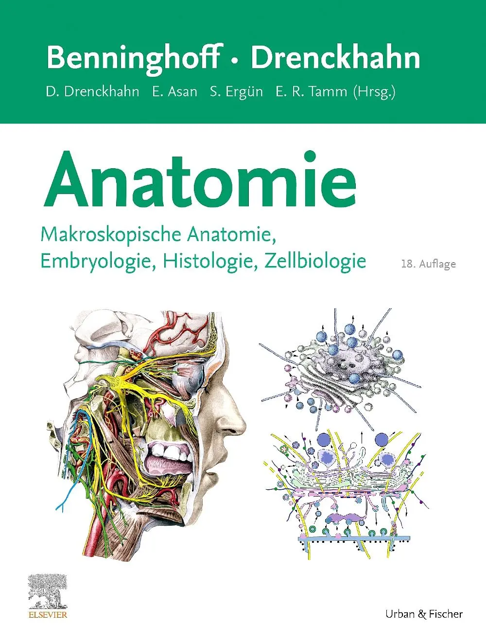 Cover: 9783437423529 | Benninghoff/Drenckhahn, Anatomie | Esther Asan (u. a.) | Buch | XLII