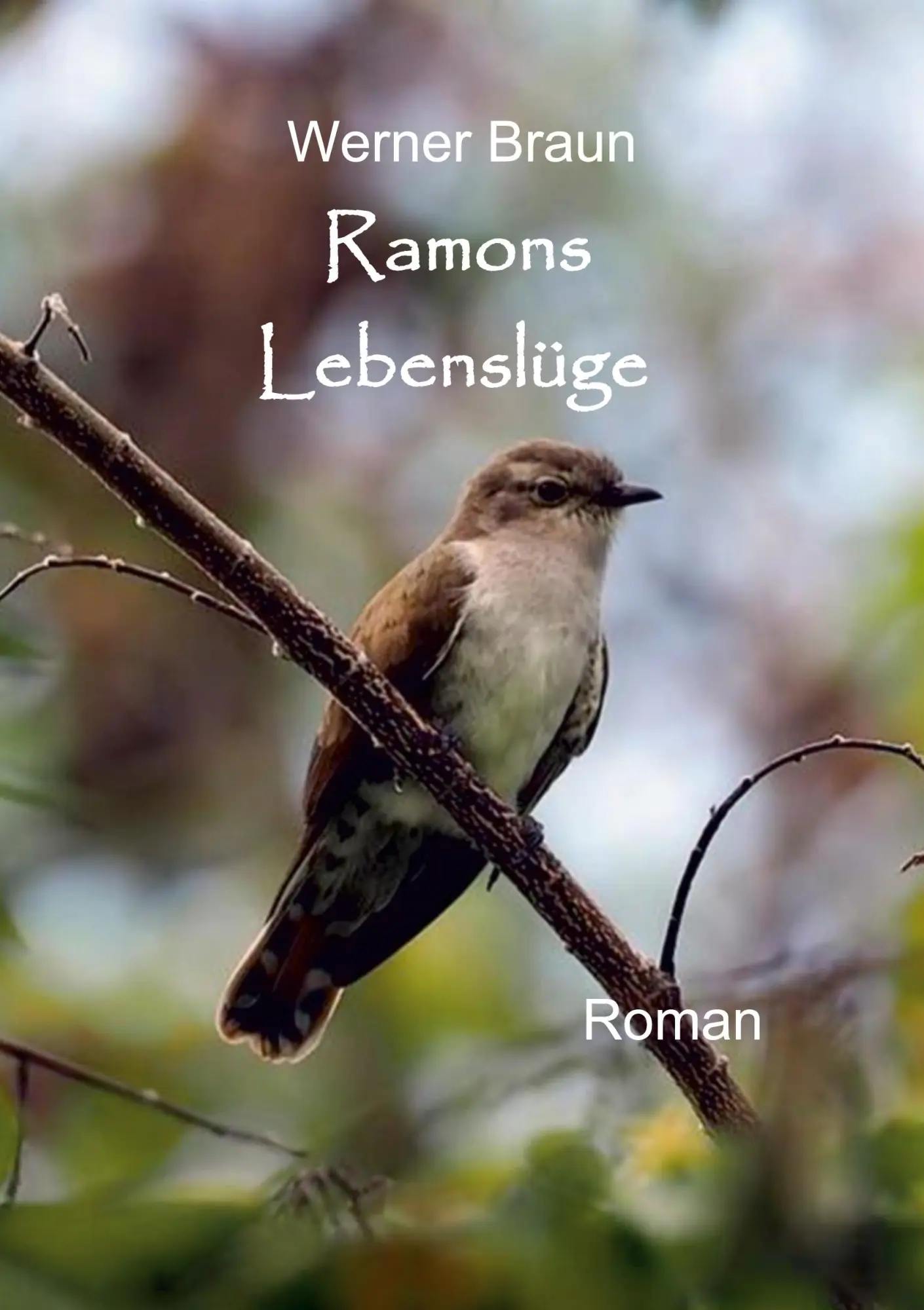 Cover: 9783757813529 | Ramons Lebenslüge | Werner Braun | Taschenbuch | 470 S. | Deutsch
