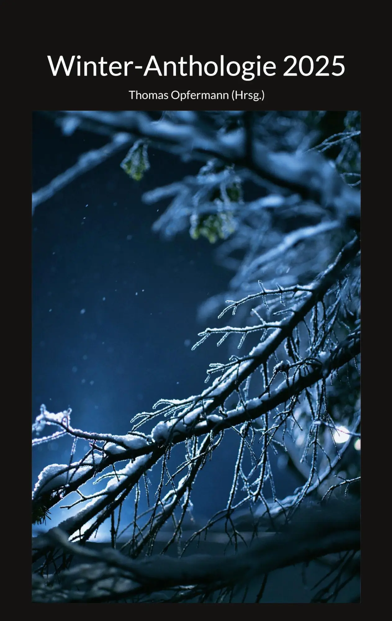 Cover: 9783819283529 | Winter-Anthologie 2025 | Thomas Opfermann | Taschenbuch | 188 S.