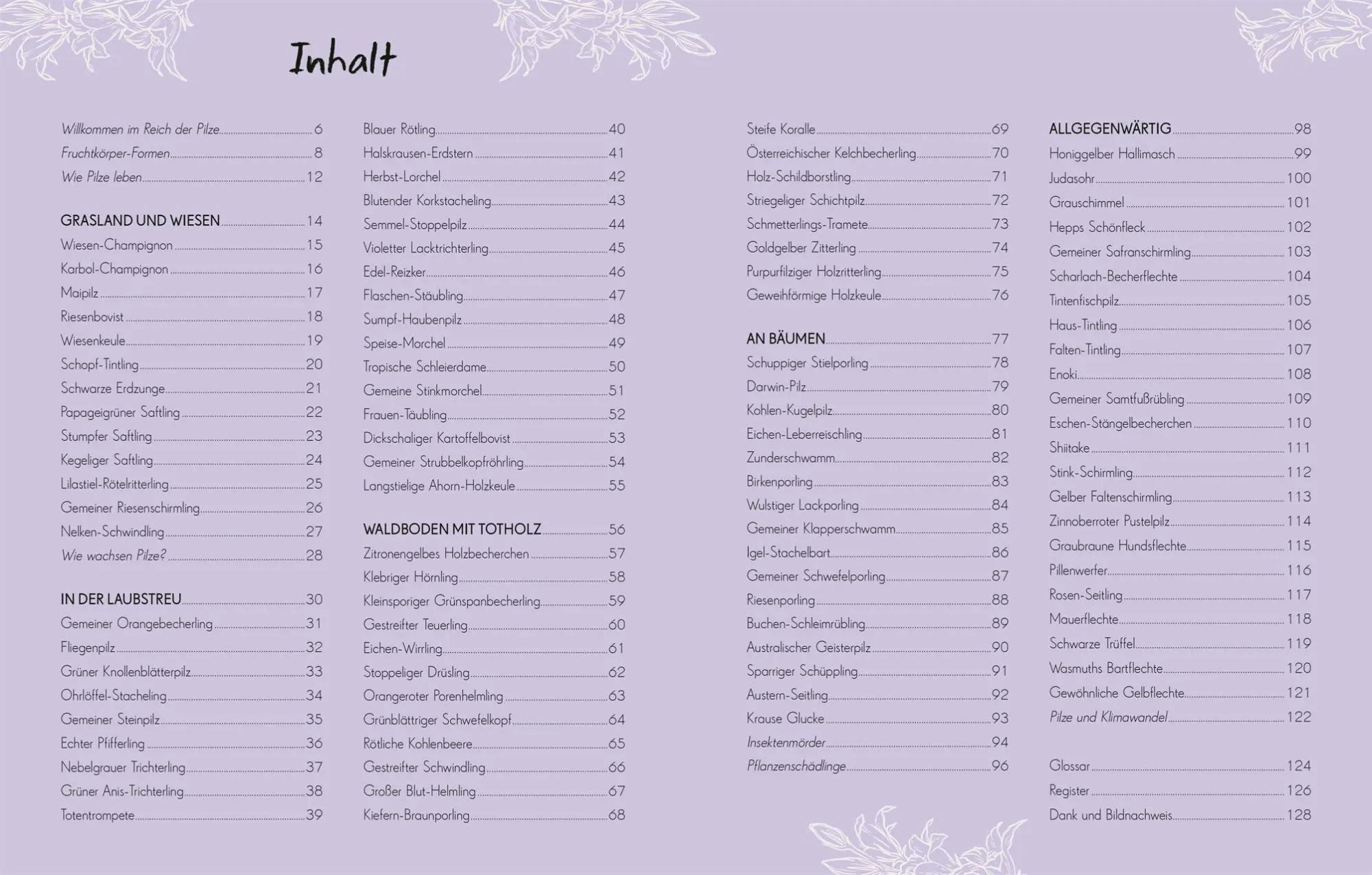 Bild: 9783831053629 | Wundervolle Welt - Kleine Schätze. Pilze | Ali Ashby (u. a.) | Buch