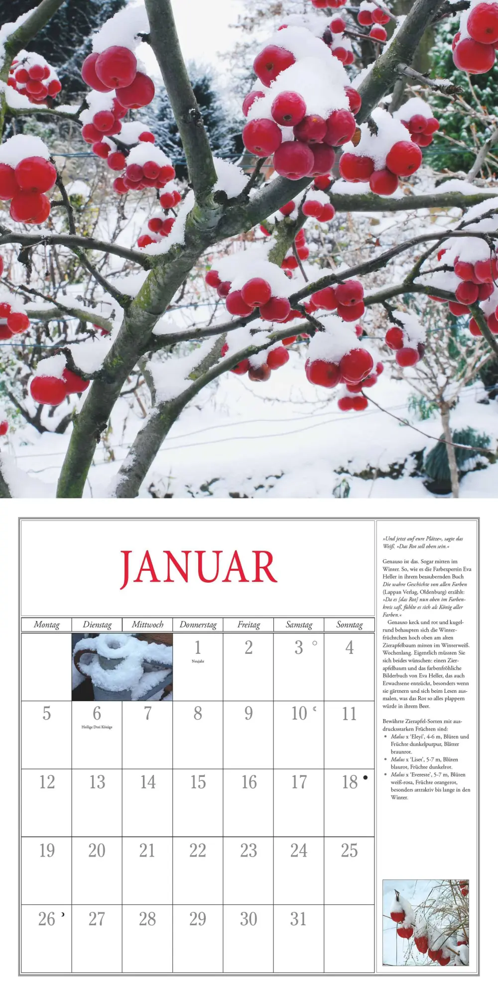 Bild: 4069095003729 | Freude im Garten 2026 - Broschürenkalender - mit informativen und...