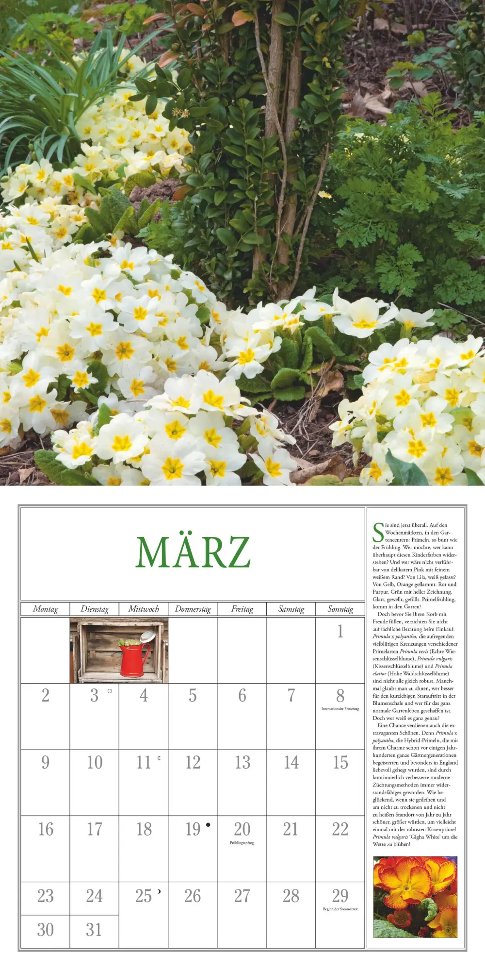 Bild: 4069095003729 | Freude im Garten 2026 - Broschürenkalender - mit informativen und...