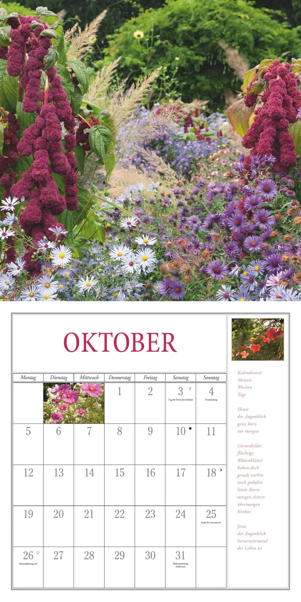 Bild: 4069095003729 | Freude im Garten 2026 - Broschürenkalender - mit informativen und...