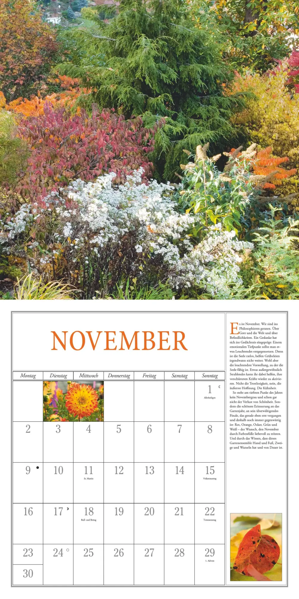 Bild: 4069095003729 | Freude im Garten 2026 - Broschürenkalender - mit informativen und...