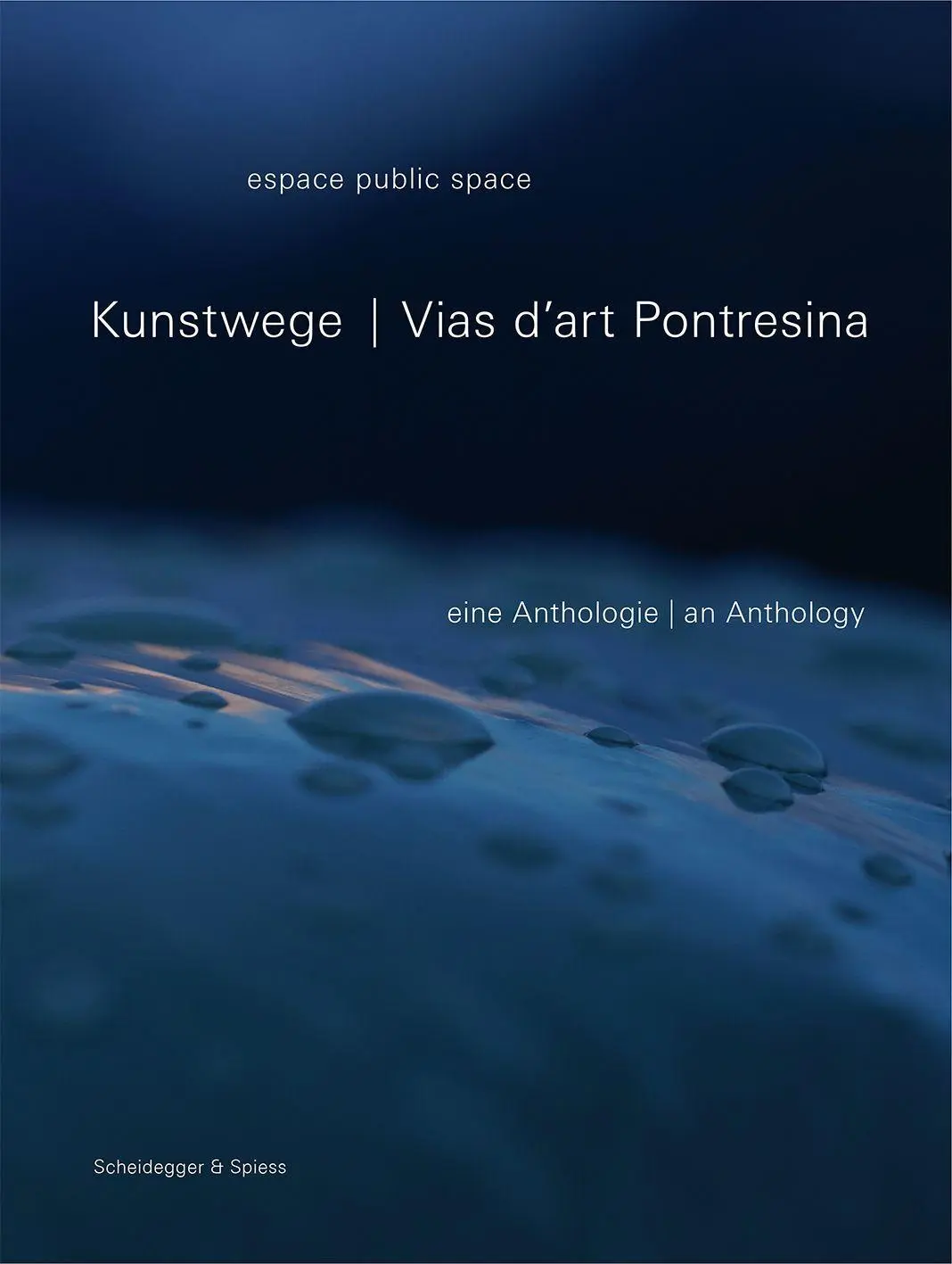 Cover: 9783039423729 | Kunstwege Pontresina | Eine Anthologie | Benno Conrad (u. a.) | Buch