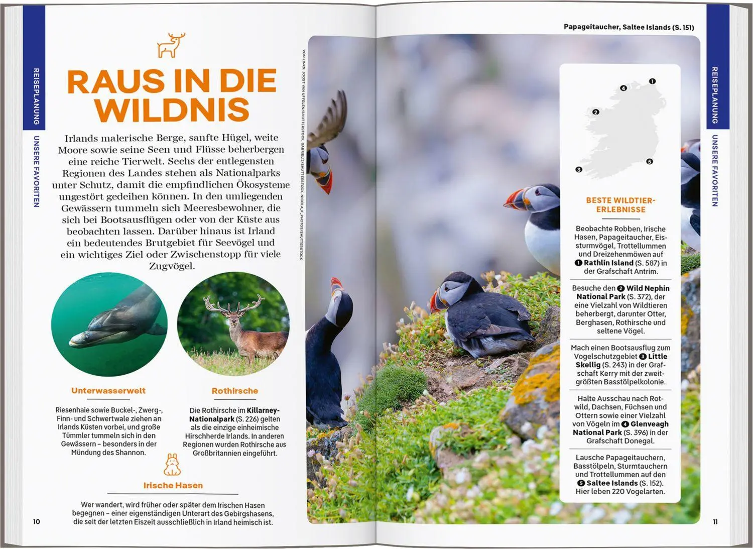 Bild: 9783575013729 | LONELY PLANET Reiseführer Irland | LONELY PLANET Deutschland | Buch