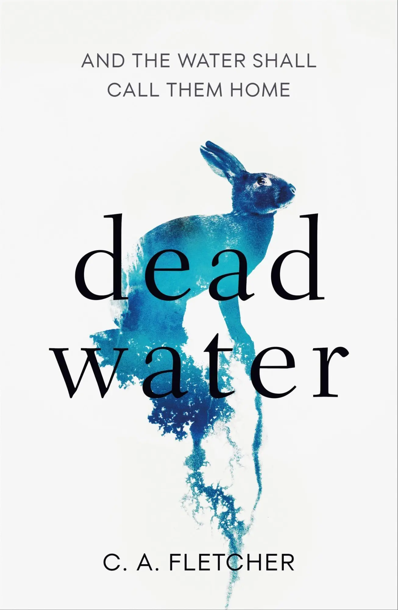 Cover: 9780356513829 | Dead Water | And the Water Shall Call Them Home | C A Fletcher | Buch