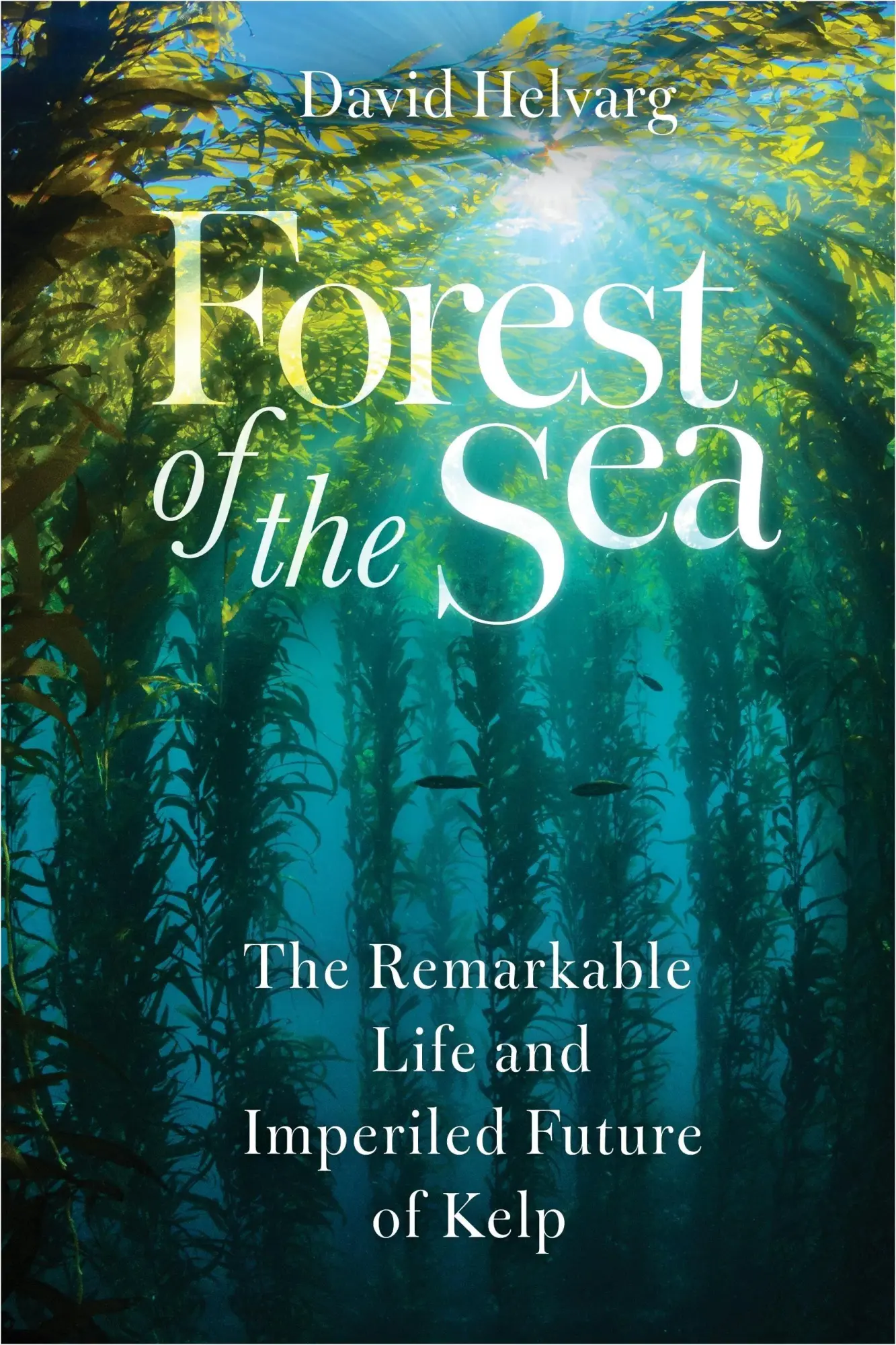 Cover: 9781642833829 | Forest of the Sea | The Remarkable Life and Imperiled Future of Kelp