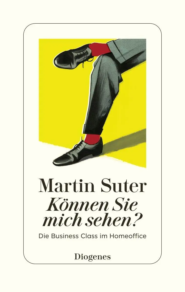 Cover: 9783257073829 | Können Sie mich sehen? | Die Business Class im Homeoffice | Suter