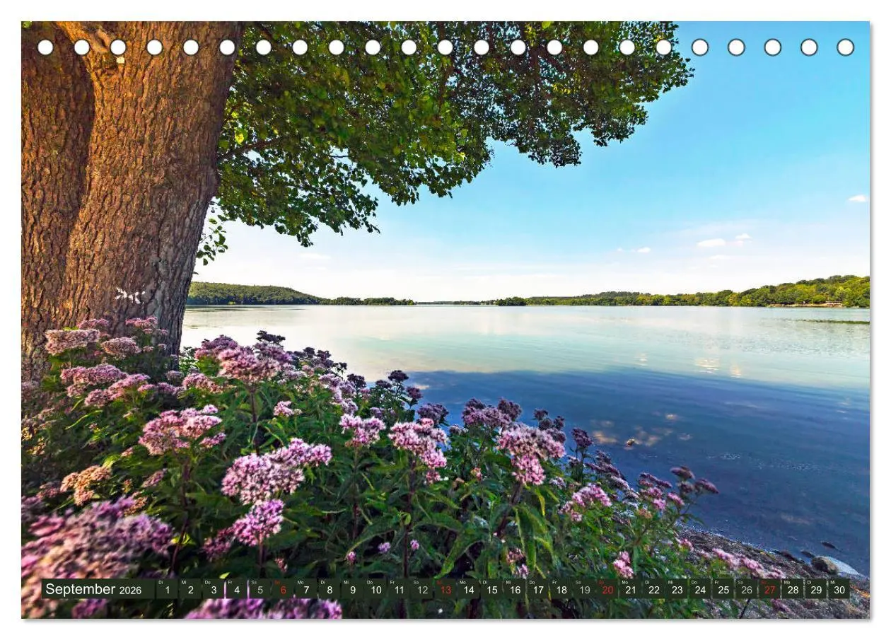 Bild: 9783457813829 | Holsteinische Schweiz - Fünf-Seen-Landschaft (Tischkalender 2026...