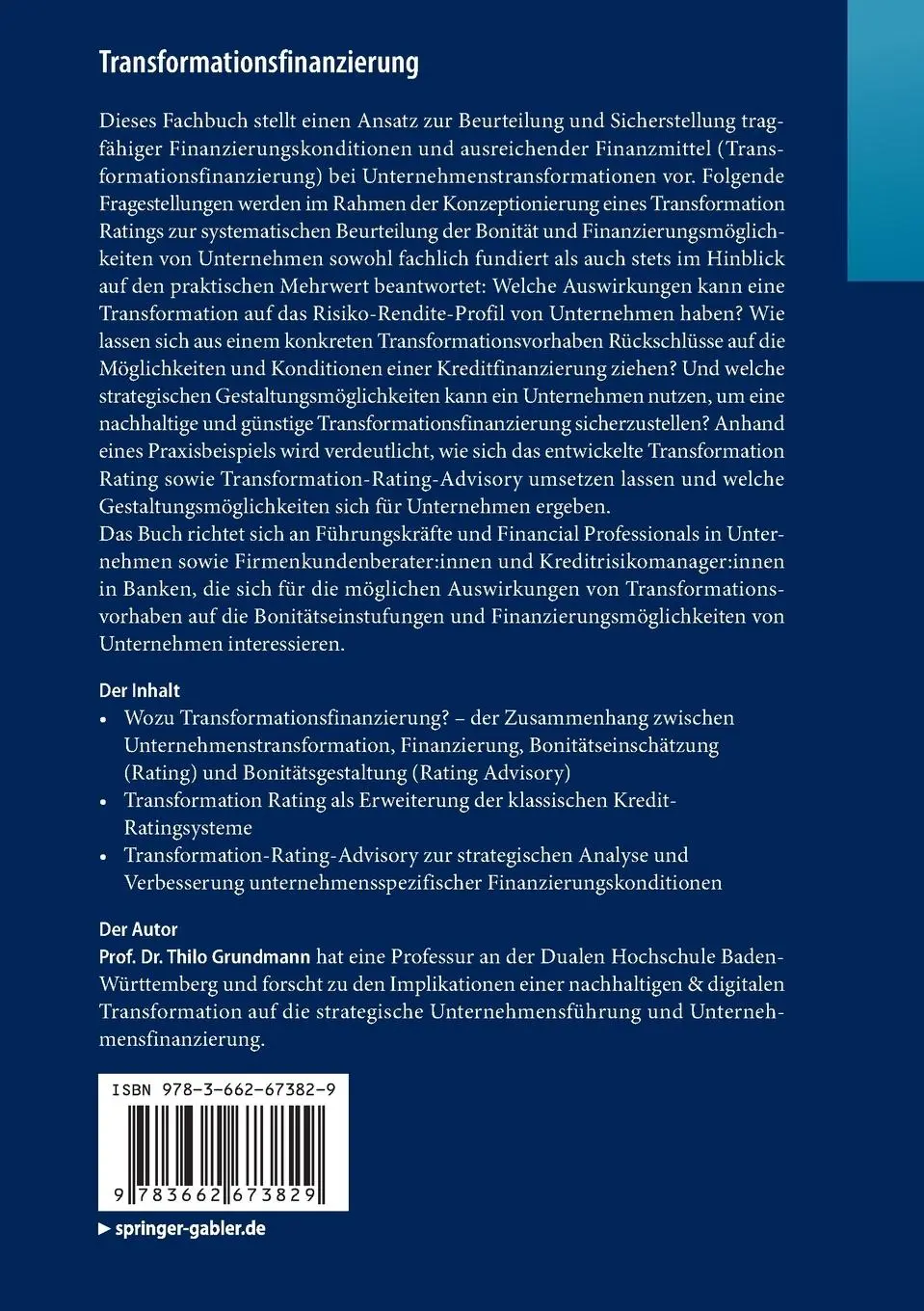 Rückseite: 9783662673829 | Transformationsfinanzierung | Thilo Grundmann | Taschenbuch | viii