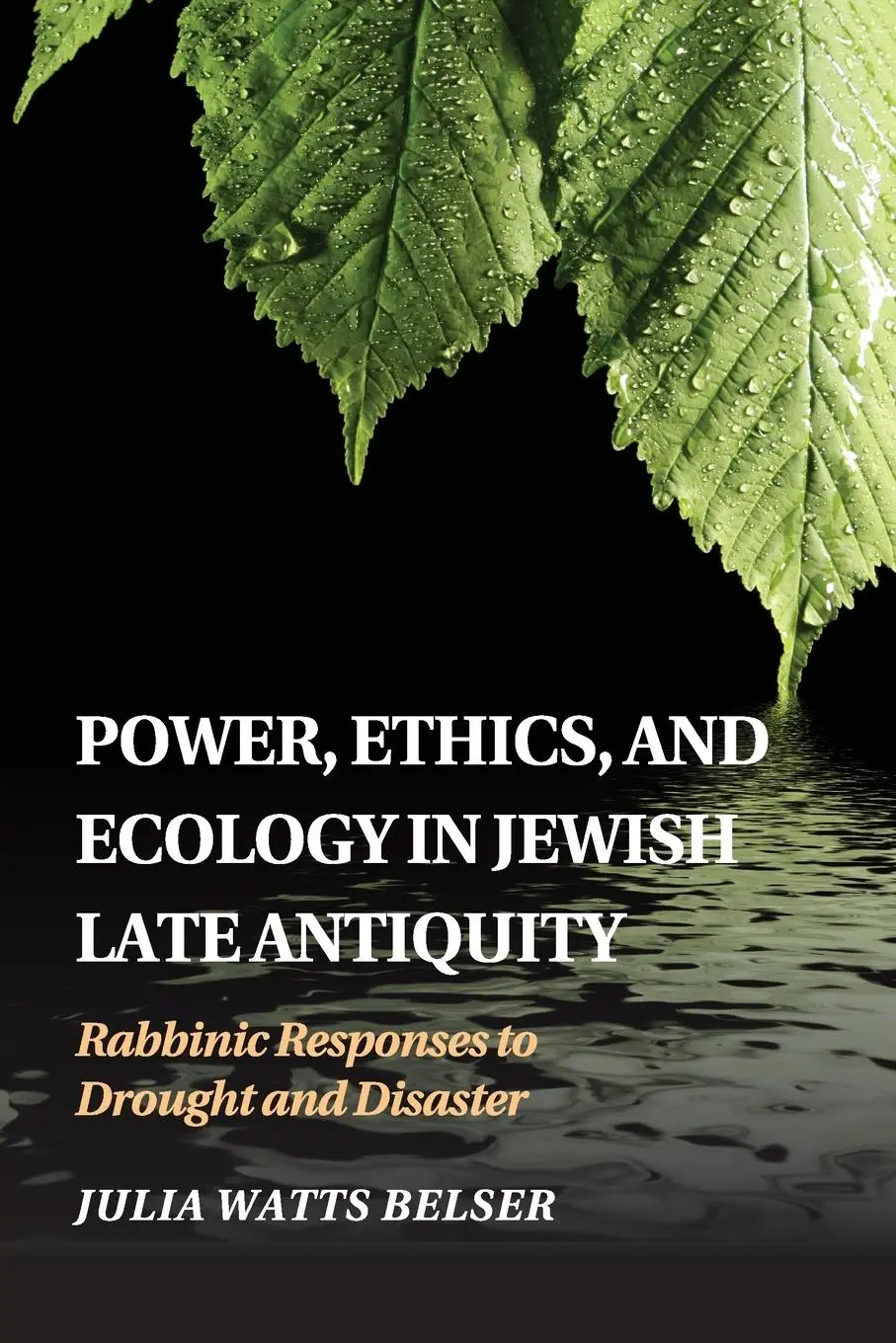 Cover: 9781107533929 | Power, Ethics, and Ecology in Jewish Late Antiquity | Belser | Buch
