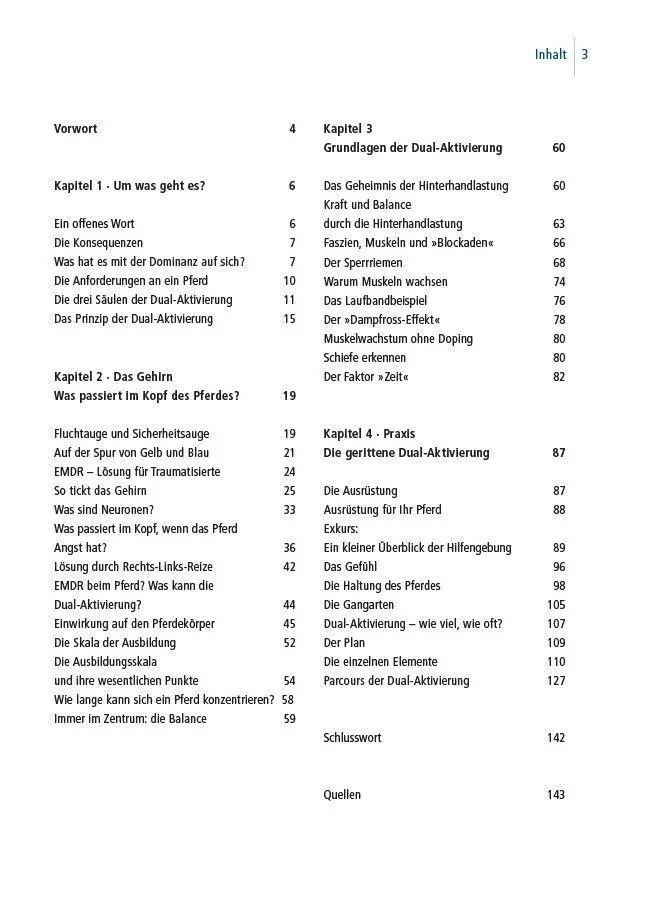 Bild: 9783275023929 | Dual-Aktivierung geritten | Michael Geitner | Buch | 144 S. | Deutsch
