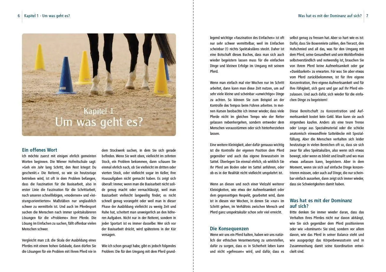 Bild: 9783275023929 | Dual-Aktivierung geritten | Michael Geitner | Buch | 144 S. | Deutsch