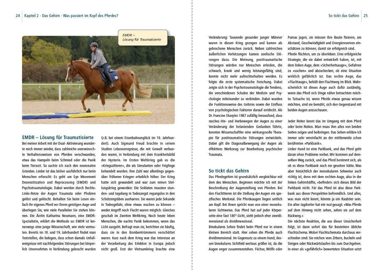 Bild: 9783275023929 | Dual-Aktivierung geritten | Michael Geitner | Buch | 144 S. | Deutsch