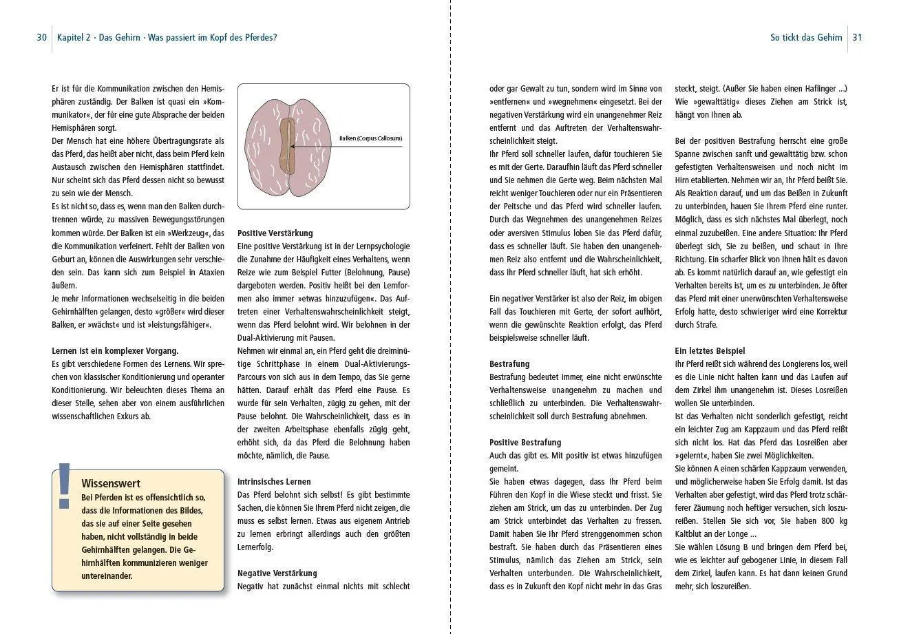 Bild: 9783275023929 | Dual-Aktivierung geritten | Michael Geitner | Buch | 144 S. | Deutsch
