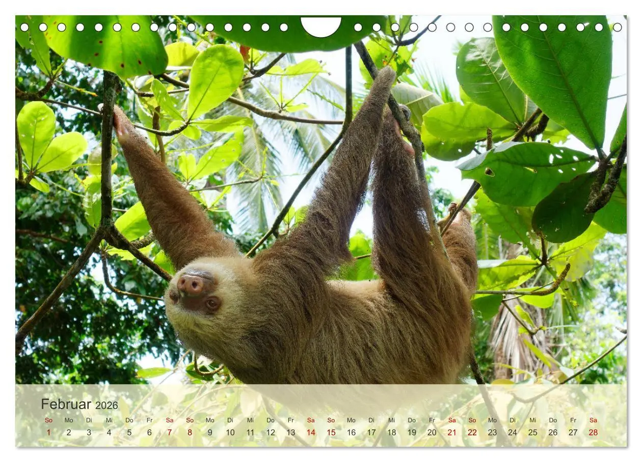 Bild: 9783457353929 | Bekanntes und Unbekanntes Costa Rica (Wandkalender 2026 DIN A4...