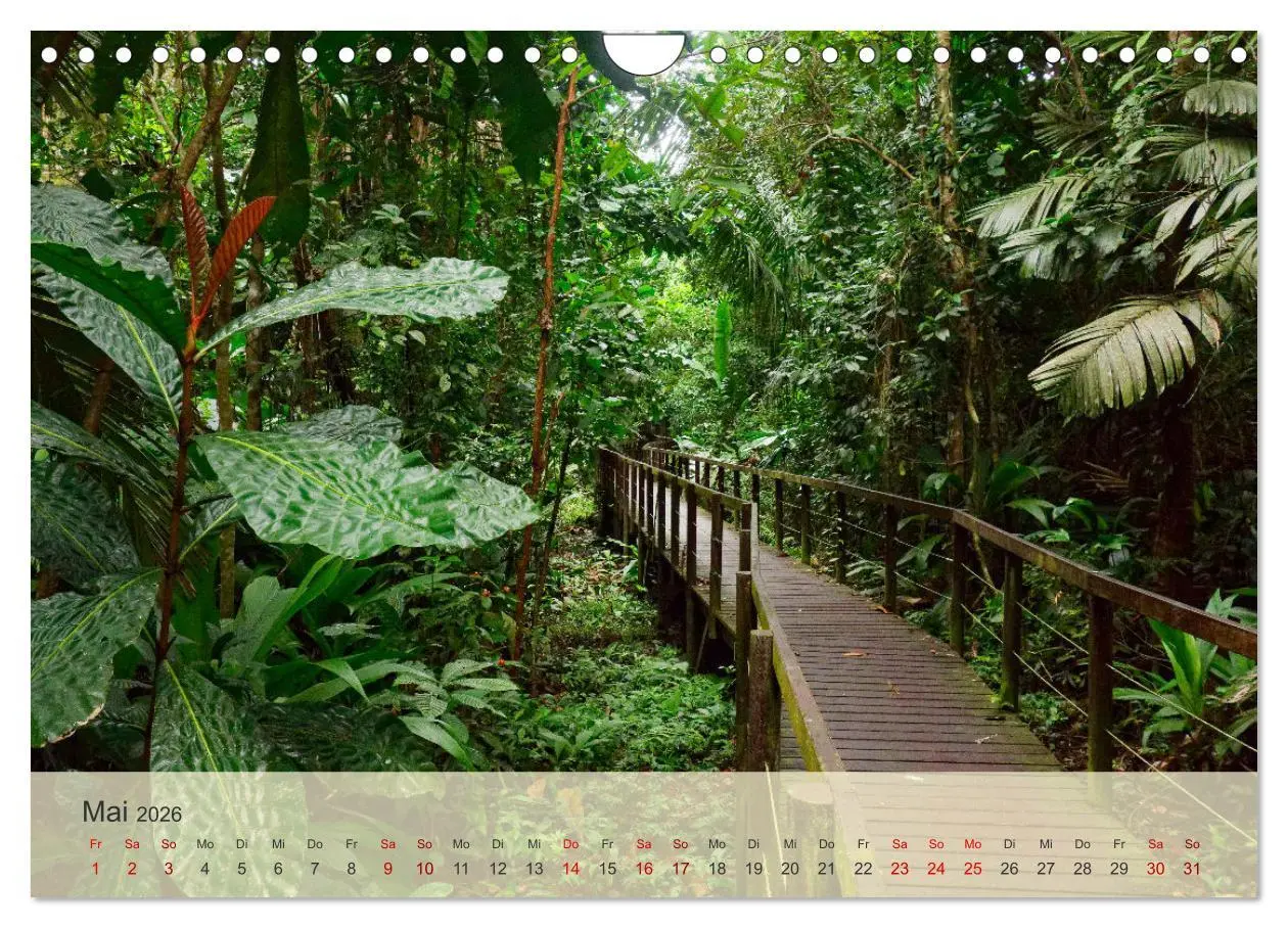 Bild: 9783457353929 | Bekanntes und Unbekanntes Costa Rica (Wandkalender 2026 DIN A4...