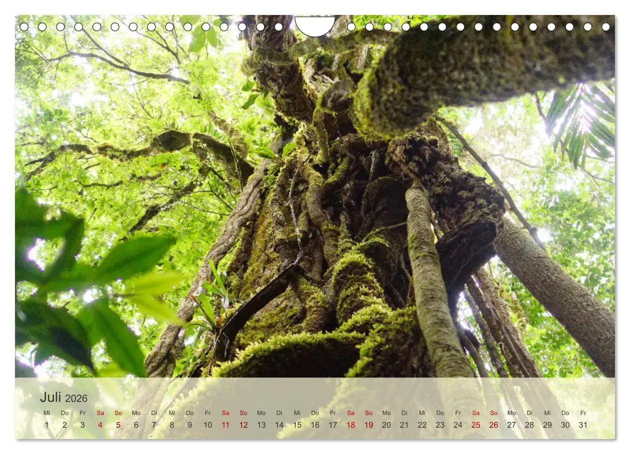 Bild: 9783457353929 | Bekanntes und Unbekanntes Costa Rica (Wandkalender 2026 DIN A4...