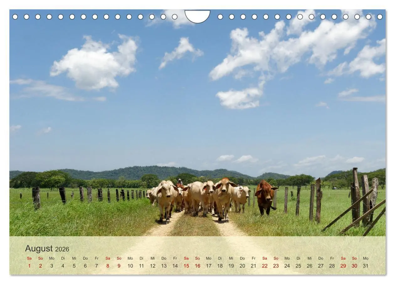 Bild: 9783457353929 | Bekanntes und Unbekanntes Costa Rica (Wandkalender 2026 DIN A4...