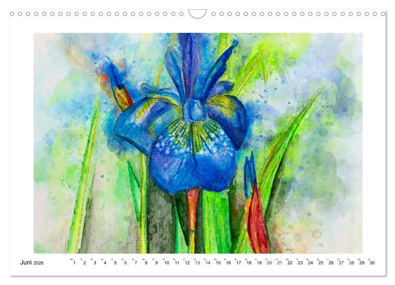 Bild: 9783457593929 | Blüten &amp; Blumen Aquarelle - Farbenfrohe Schönheiten (Wandkalender...