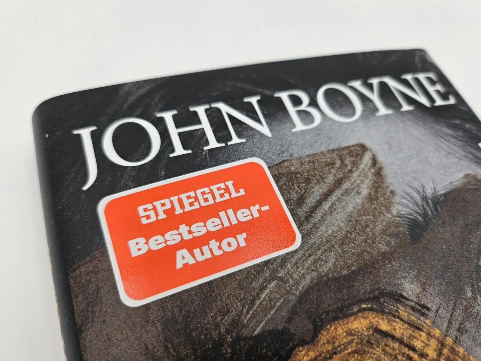 Bild: 9783492073929 | Erde | Roman Das große Erzählprojekt des irischen Bestsellerautors